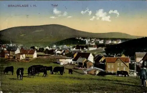 Ak Braunlage im Oberharz, Totale