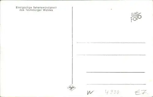 Ak Berlebeck Detmold im Teutoburger Wald; Adlerwarte, Panorama, Kaiseradler, Steinadler