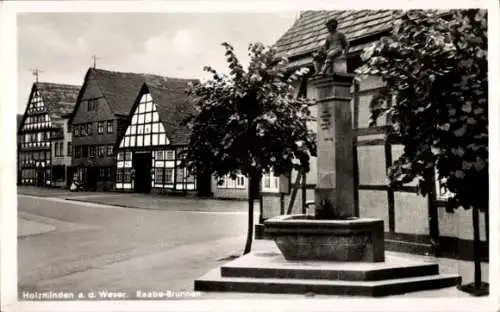 Ak Holzminden im Weserbergland, Raabe Brunnen, Fachwerkhäuser