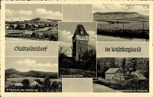 Ak Stadtoldendorf in Niedersachsen, Knopfmühle im Hooptal, Holzberg, Kellberg, Homburg