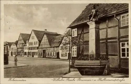 Ak Holzminden an der Weser, Wilhelm Raabe Brunnen, Halbermondstraße