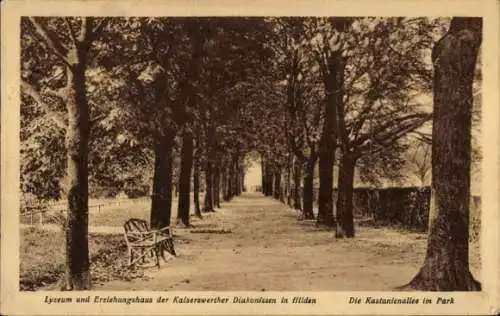 Ak Hilden im Rheinland, Erziehungshaus der Kaiserswerther Diakonissen, Kastanienallee im Park