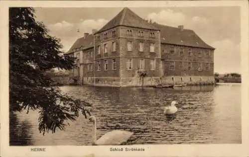 Ak Herne im Ruhrgebiet Westfalen, Schloss Strünkede, Schwäne