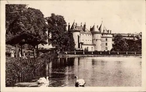 Ak Chastellux sur Cure Yonne, Chateau, Etang des Cygnes