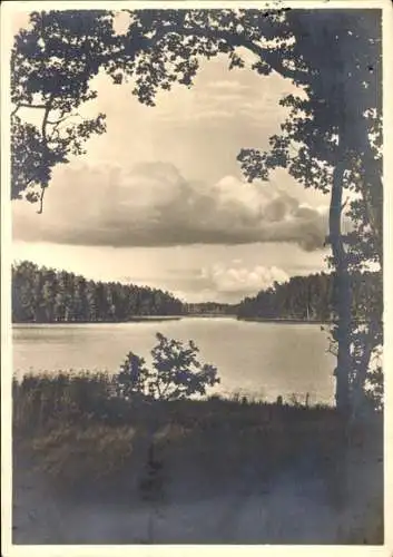 Ak Masuren Ostpreußen, Großer Jagodschin See in der Johannsburger Heide