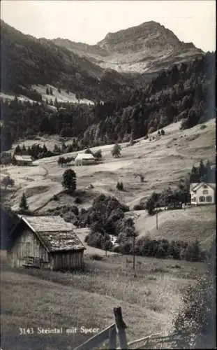 Ak Sankt Gallen Stadt Schweiz, Steintal mit Speer