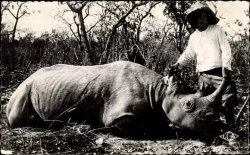 Ak Kamerun, Rhinoceros tué, Mann, erlegtes Nashorn, Jagd