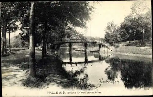 Ak Halle an der Saale, Uferpartie an der Ziegelwiese, Brücke, Bäume