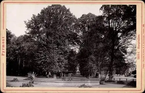 Kabinett Foto Bad Pyrmont in Niedersachsen, Hauptallee