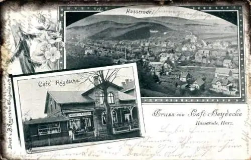 Ak Hasserode Wernigerode im Harz, Totalansicht, Cafe Heydecke