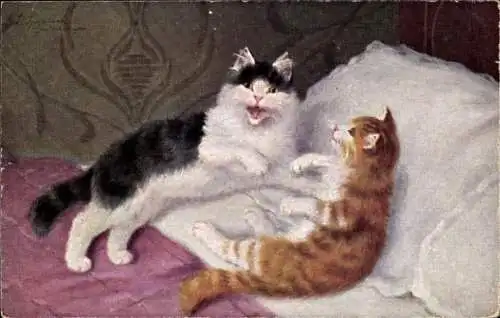 Künstler Ak Katzen auf einem Bett