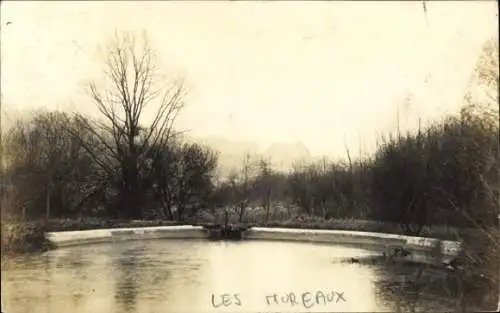 Foto Ak Les Mureaux Yvelines, Teich, Bäume