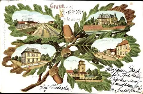 Eichenblatt Litho Koenigshoffen Königshofen Strasbourg Straßburg Elsass Bas Rhin, Stadtansichten