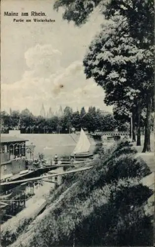 Ak Mainz am Rhein, Winterhafen, Segelboot