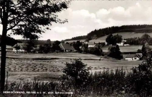 Ak Herrischwand Herrischried im Schwarzwald, Teilansicht