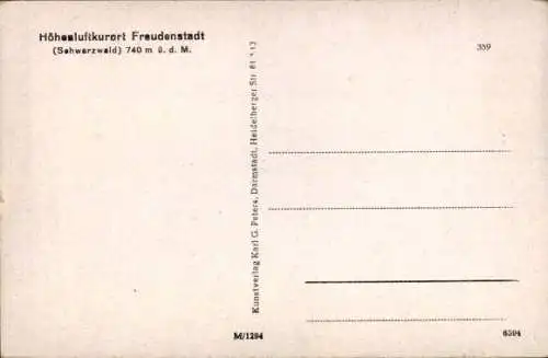 Ak Freudenstadt im Schwarzwald, Bärenschlösschen