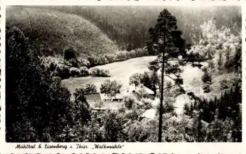 Ak Eisenberg in Thüringen, Mühltal, Walkmühle