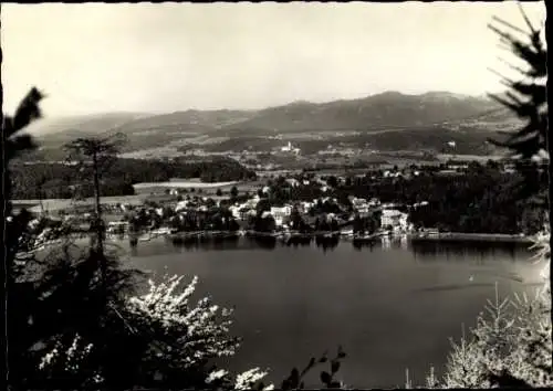 Ak Seelach am Klopeiner See Kärnten, Panorama mit Tainach