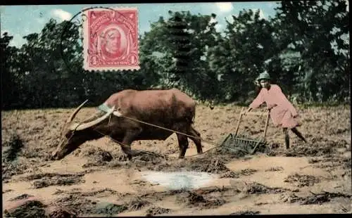 Ak Philippinen, Vorbereitung der Anlage