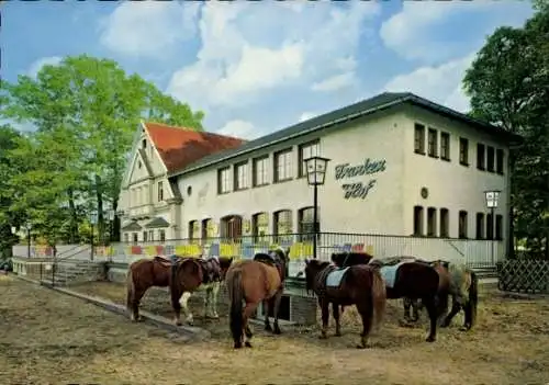 Ak Reken in Westfalen, Waldgut Frankenhof Hotel-Pension, Pferde