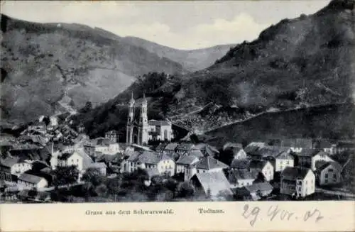 Ak Todtnau im Schwarzwald, Gesamtansicht