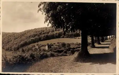 Ak Arnsberg im Hochsauerland, Landweg mit Allee und Blick ins Tal