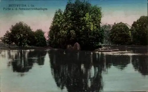 Ak Mittweida in Sachsen, Schwanenteichanlagen, Boot