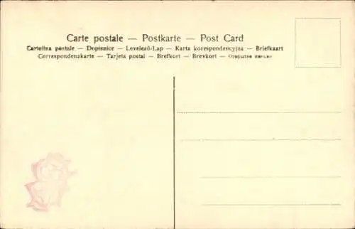 Ak Magdeburg an der Elbe, Dom, Schiffe