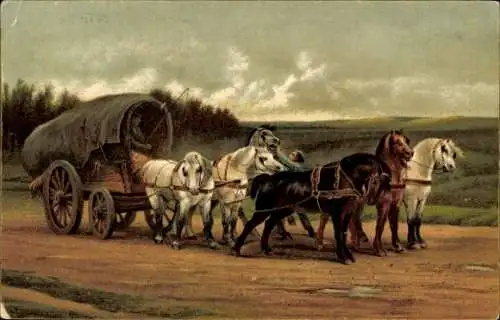 Ak Pferdekarren, Fuhrwerk, Pferde, Transport
