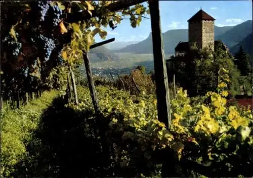 Ak Meran Merano Südtirol, Teilanscht vom Schloss