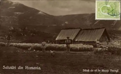 Ak Rumänien, Stana de oi in Munti Bucegi