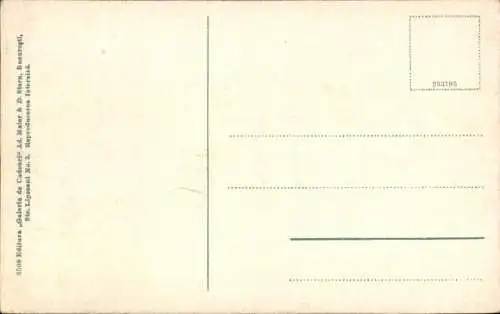 Ak Băile Govora Rumänien, Garten, Pflanzen