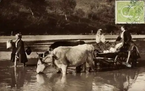 Foto Ak Rumänien, Ochsenwagen, Trachten