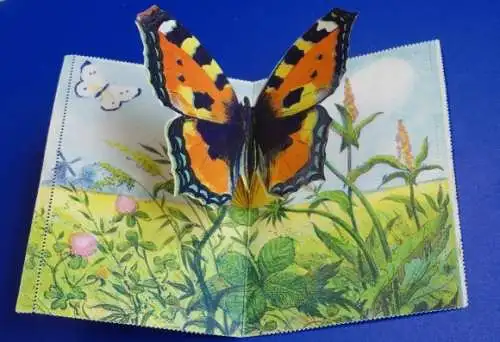 Klapp Ak Kartenbrief, Schmetterling