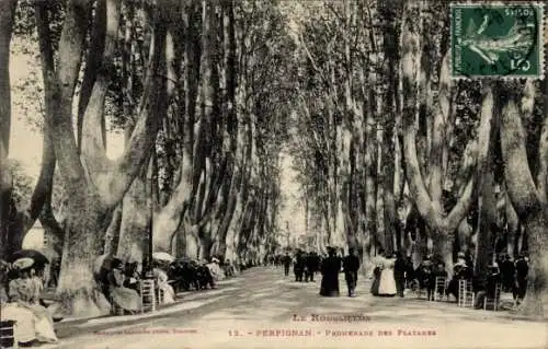 Ak Perpignan Pyrénées Orientales, Promenade des Platanes