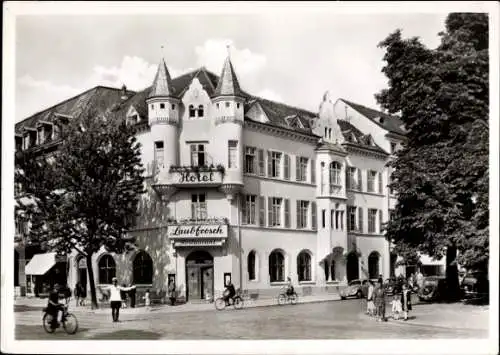 Ak Freiburg im Breisgau, Hotel Restaurant Laubfrosch