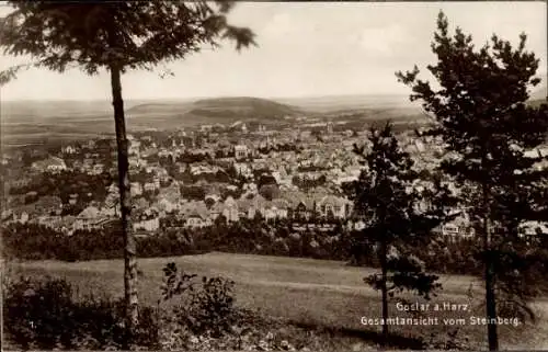 Ak Goslar am Harz, Blick vom Steinberg, Gesamtansicht