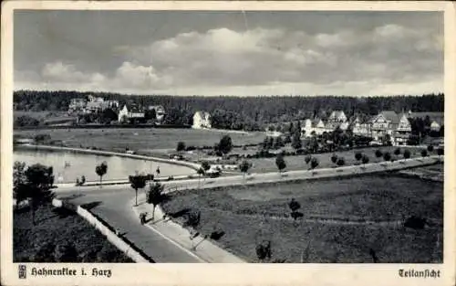 Ak Hahnenklee Bockswiese Goslar im Harz, Teilansicht