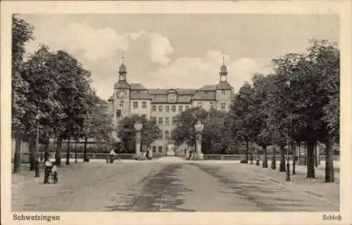 Ak Schwetzingen in Baden, Schloss, Allee