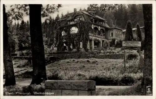 Ak Elend Harz, Hotel Pension Waldschlösschen Café