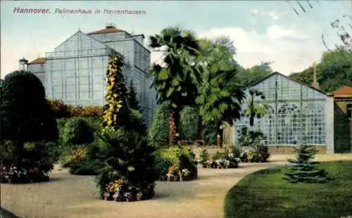 Ak Herrenhausen Hannover in Niedersachsen, Palmenhaus
