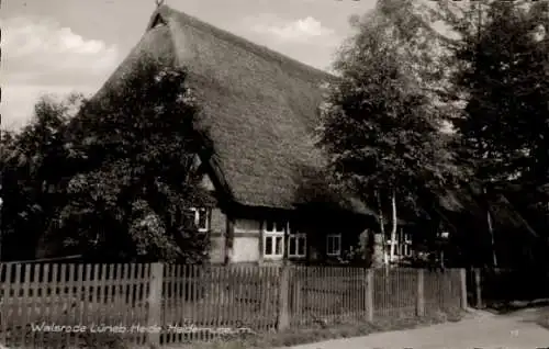 Ak Walsrode in der Lüneburger Heide, Heidemuseum