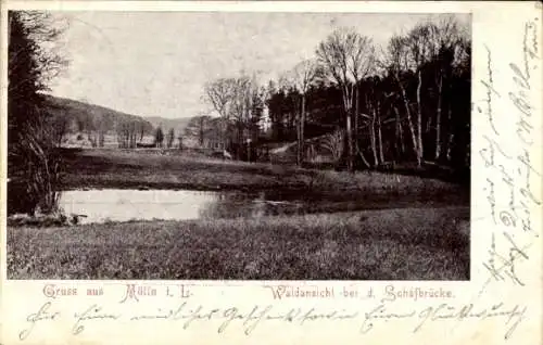 Ak Mölln im Herzogtum Lauenburg, Waldansicht, Schafbrücke