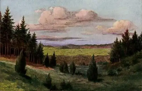 Künstler Ak Wittorf, Eugen, Kurland Lettland, Sumpftal bei Ilipan, 1917, 1. WK
