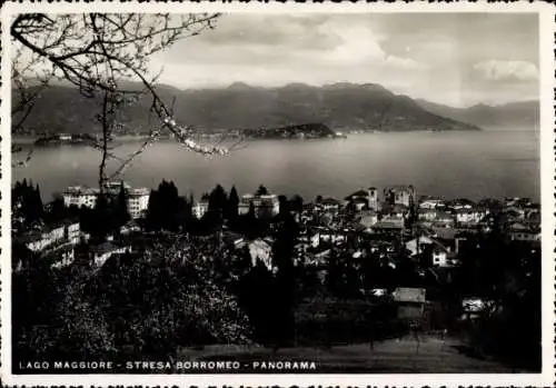 Ak Stresa Borromeo Lago Maggiore Piemonte, Panorama