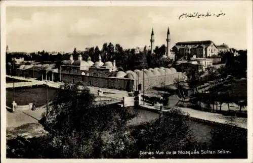 Ak Damas Damaskus Syrien, Blick von der Sultan Sélim Moschee