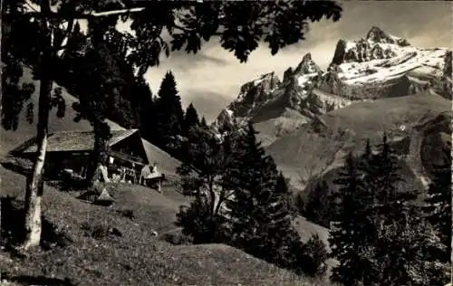 Ak Champéry Kanton Wallis, Paysage a Champery, les Dents du Midi