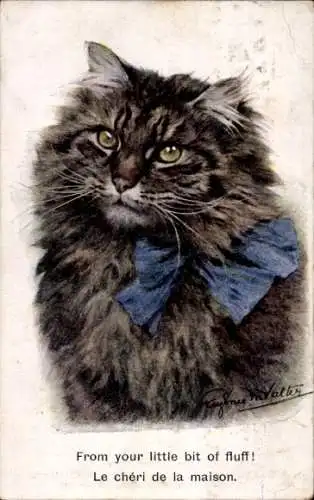 Künstler Ak Schwarze Katze mit blauer Schleife