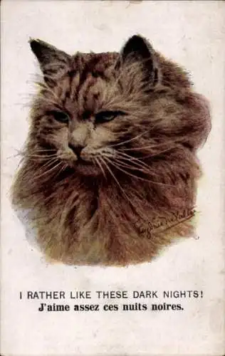 Künstler Ak Braune Katze, Tierportrait