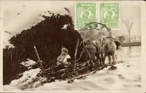 Ak Rumänien, Frau in Tracht auf einem Rinderschlitten